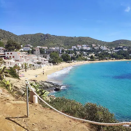 Dallas 2b Canyelles - Barneda Premium * Rosas